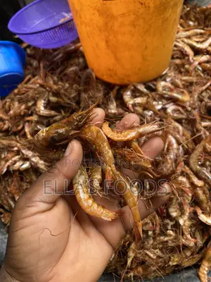Big Crayfish (Prawns)