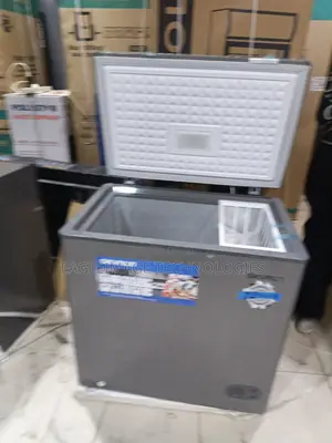 Commercial Skyrun 155l Chest Freezer for Fast Food Outlets