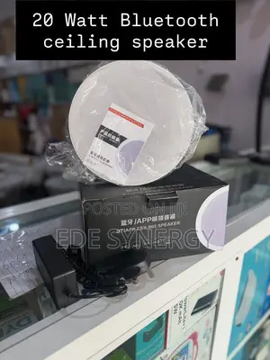20w Clean Sound Ceiling Bluetooth Speaker
