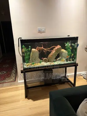Aquarium With Stand