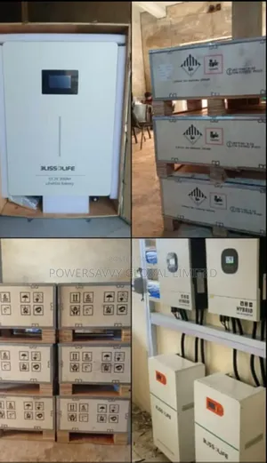 Blisslife 15kwh 48v Battery