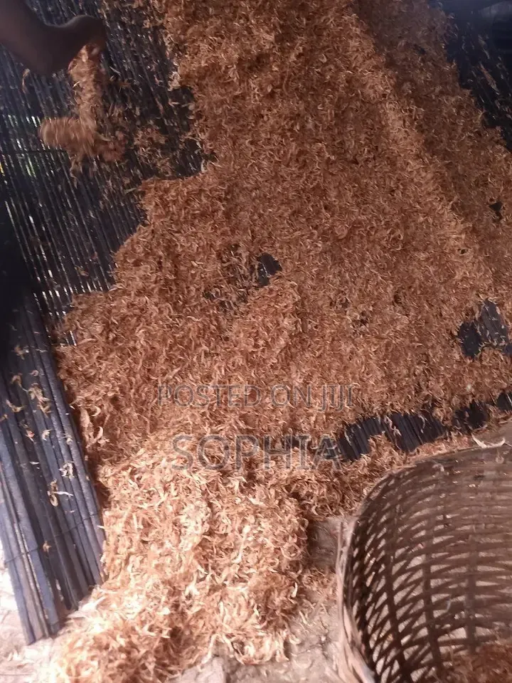 Oron Crayfish