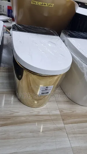 Smart Toilet