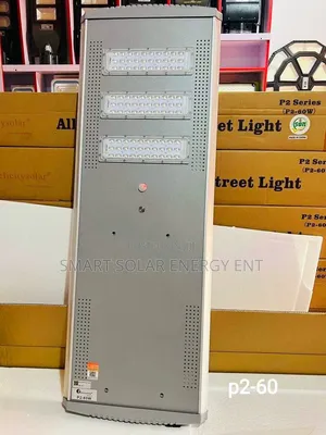 P2-60w Felicity All in One Solar Streetlight