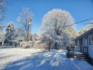 Private Detective