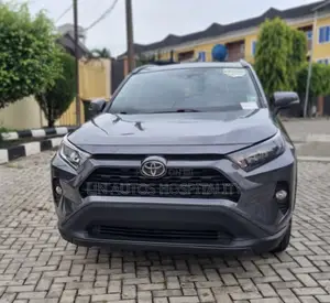 Toyota RAV4 XLE AWD 2019 Gray