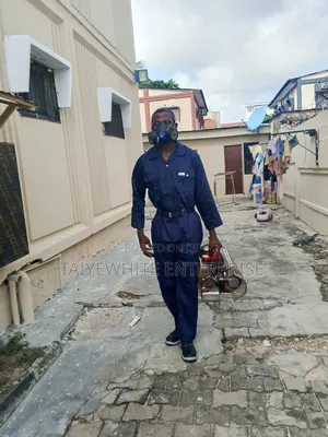 Affordable Home Office Fumigation Services