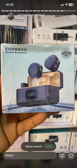 Wireless Magnetic Microphone