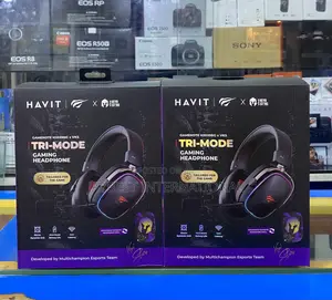Havit Gamenote H2039bg Wireless Gaming Headset
