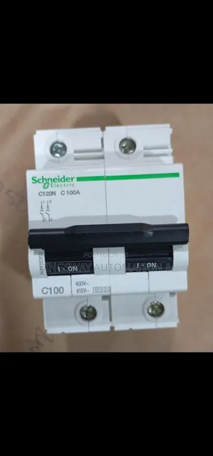 Original MCB 100a 2pole Schneider Electric