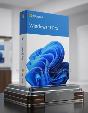 Windows 11 Professional (Oem)– Product Key