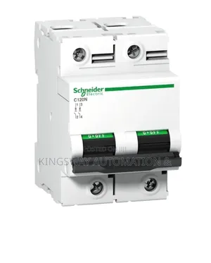 Original MCB 100a 2pole Schneider Electric