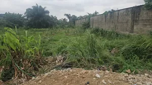 A Plot Of Land With Certificate Of Occupancy