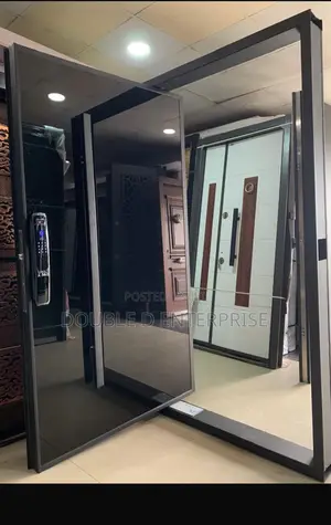 Black Pivot Security Door