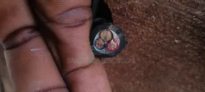 6mm 3core PVC PVC Armoured Cable