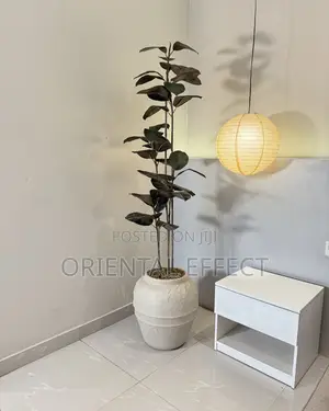 Off White Kumbaya Pot With Artificial Black Ficus – Home Décor Nigeria