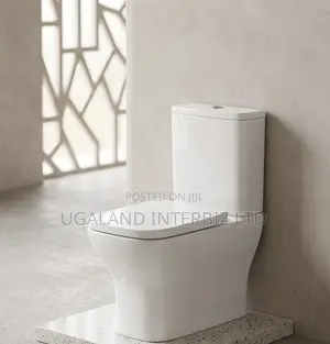 Modern Ceramic Water Closet