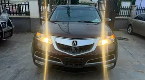 Acura MDX 2010 Maroon