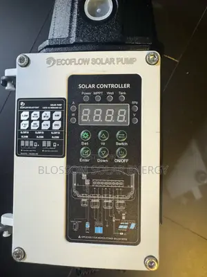 1.25hp Ecoflow Ac/Dc Solar Surface Pump