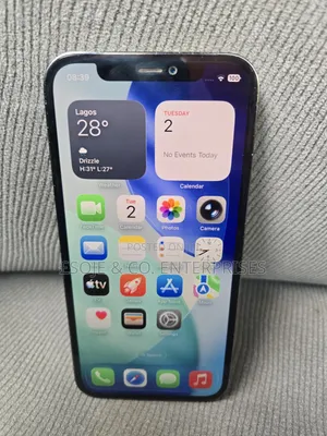 Apple iPhone 12 Pro 256 GB Gray