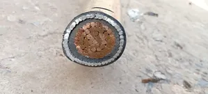Single Wire 300mm