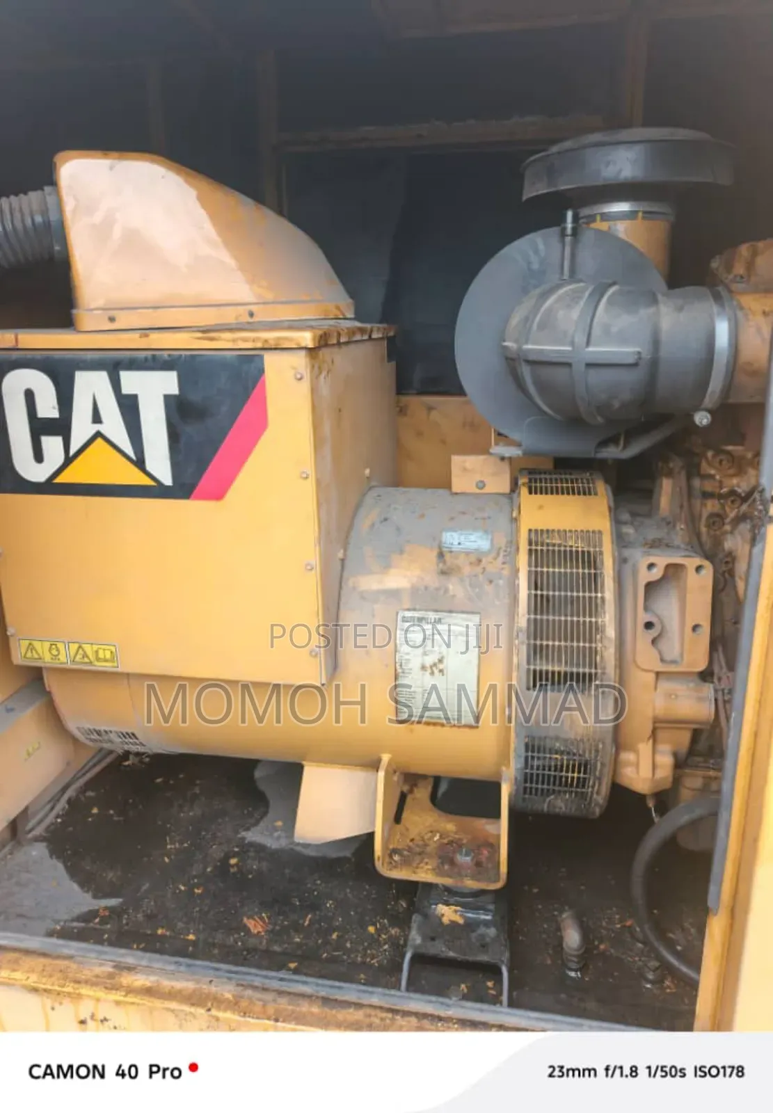 Cat Generator