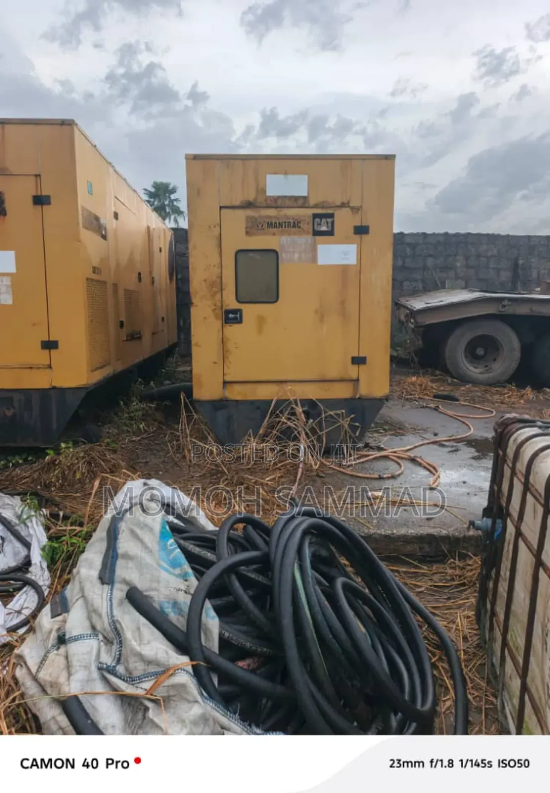 Cat Generator