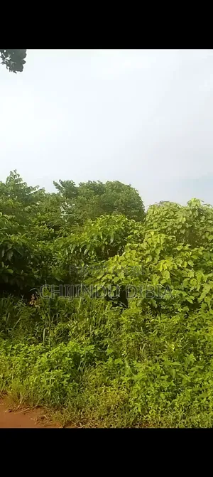 50x100 Land for Sale