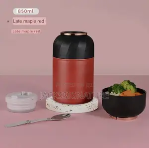 Galaxy Thermal Insulated Food Flask