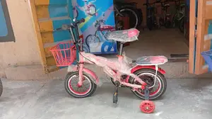 SPN Kids Size 12 Bicycle