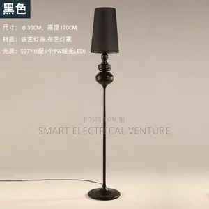 Chandeliers/Floor Lamp