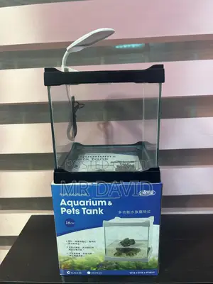 Mini Aquarium Tanks