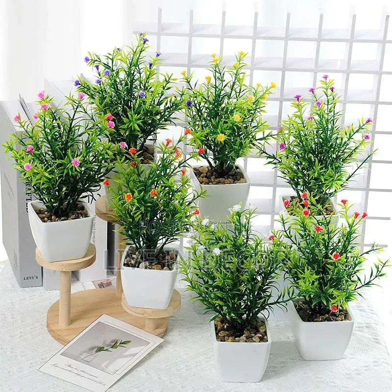 Mini Shelf Plants