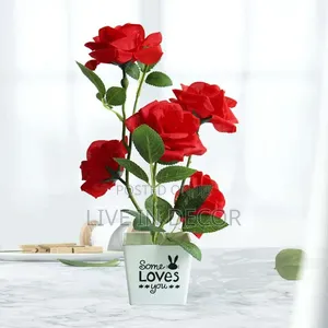 Rose Plants
