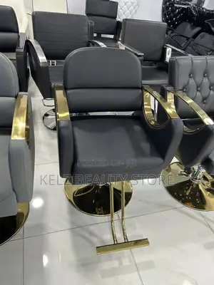 Standard Styling Chair (Mf04)
