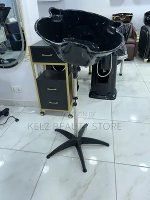 Standing Hair Wash Basin