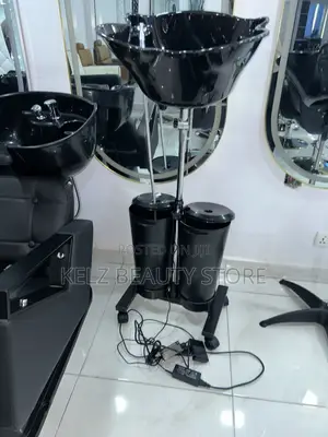Double Bucket Hair Wash Basin