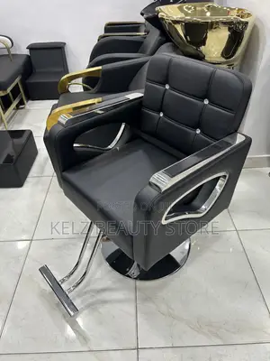 Beautiful Styling/Salon Chair (H117 Button)