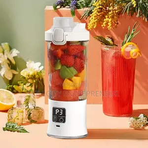 304 Advanced Smoothie Maker