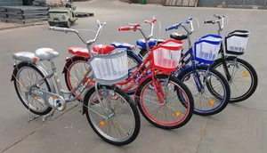 Adults Bicycle