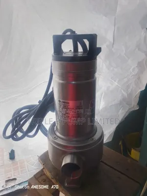 Lowara Sewage Pump