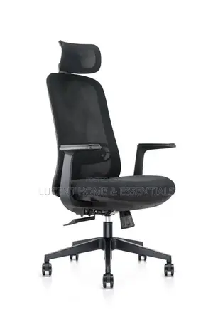 High-Quality Executive Orthopedic Desk Chair – Brand New