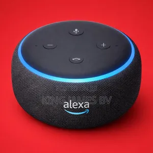 Wifi Voice Control Unit