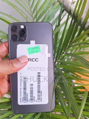 Apple iPhone 11 Pro Max 256 GB Gray
