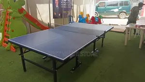 Hot Short Outdoor Table Tennis Board With Accessories