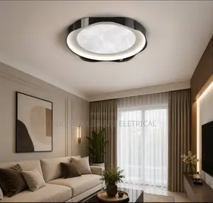 Designer Ceiling Lamps Italian Minimalist Led Dimmable Ceiling Light