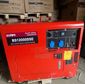 Bs12000dse 8.7kva Original Bison Diesel Soundproof Generator