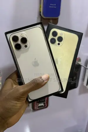 Apple iPhone 13 Pro Max 256 GB Gold