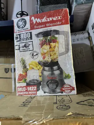 Moulinex 6blades Blender for Fruit and Juice