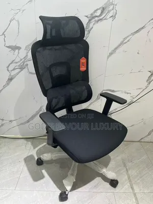 Ergonomic Office Mesh Chair.